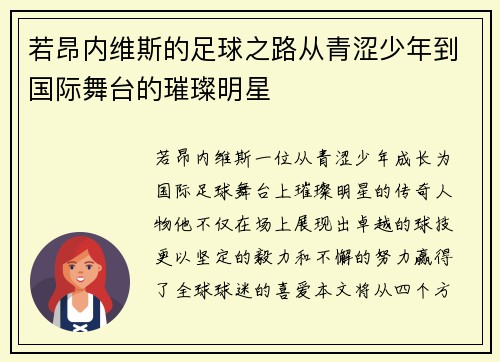 若昂内维斯的足球之路从青涩少年到国际舞台的璀璨明星